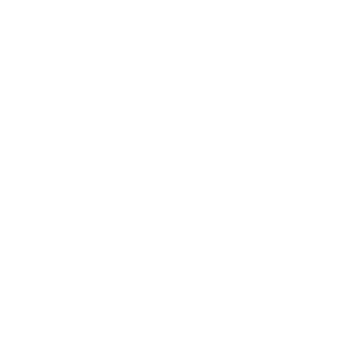 Private Chef Experience