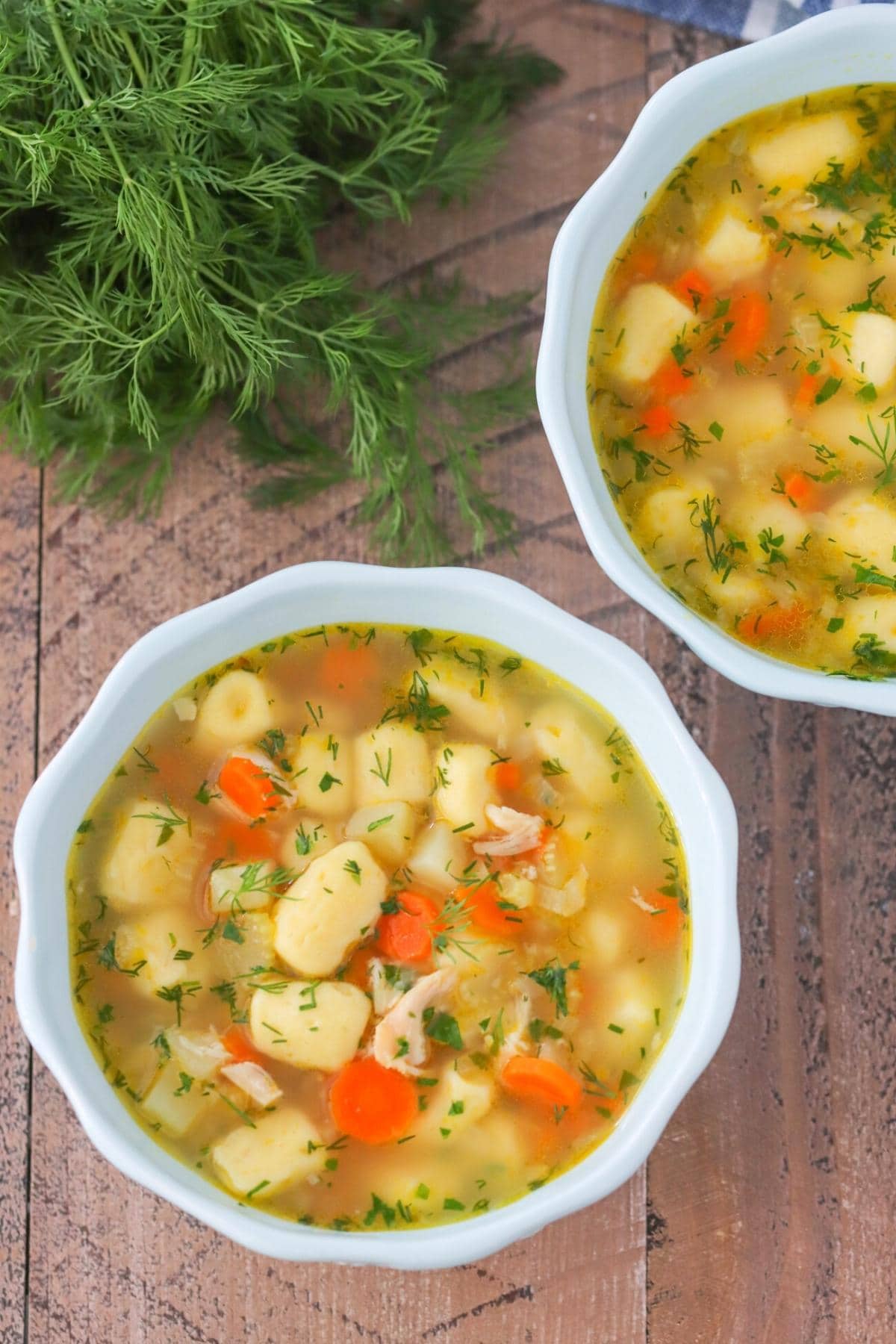 Chicken Dumping Soup